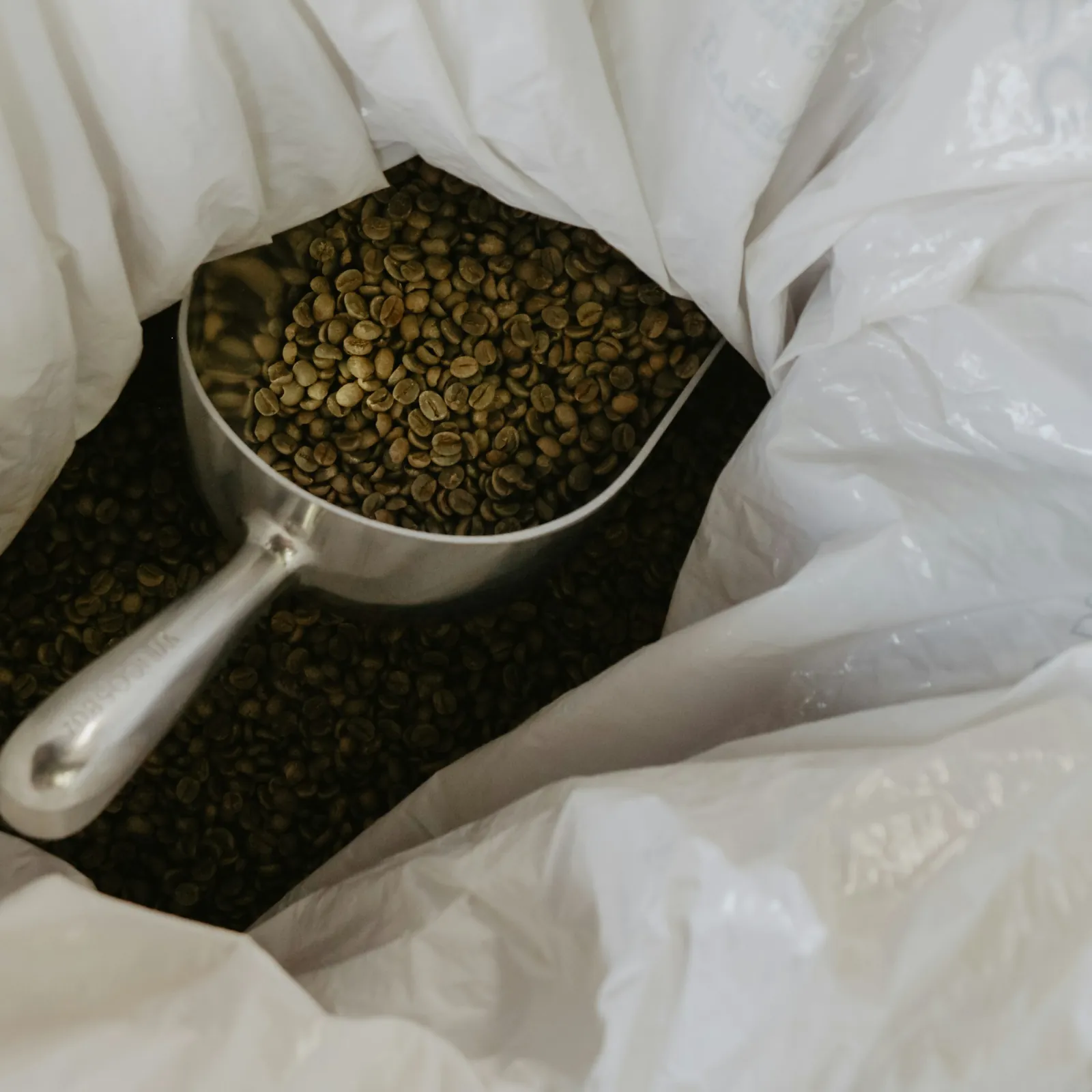 بن أرابيكا سانتوس NY 2 (بن أخضر)